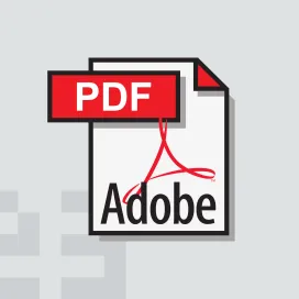 Adobe Acrobat File Pdf 06